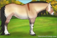 Horse Color:Bay Onyx 