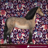 Horse Color:Gray Brown Roan Dun Sabino