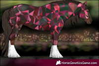 Horse Color:Liver Chestnut Tobiano 
