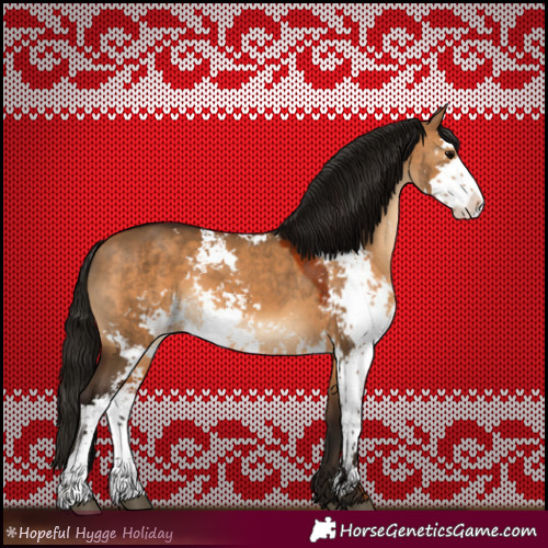 Horse Color:Gray Bay Dun Sabino 