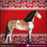 Horse Color:Gray Bay Dun Sabino 