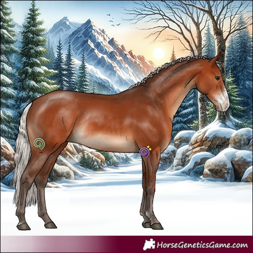 Horse Color:Silver Brown Sabino Rabicano