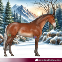 Horse Color:Silver Brown Sabino Rabicano 