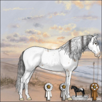 Horse Color:Brown Dun Sabino Near Leopard 