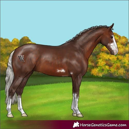 Horse Color:Silver Brown 