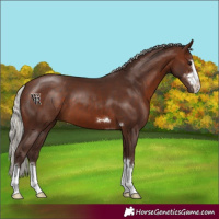 Horse Color:Silver Brown