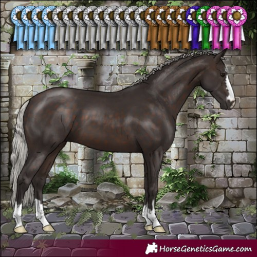 Horse Color:Silver Brown 