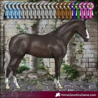 Horse Color:Silver Brown 