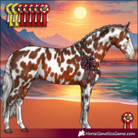 Horse Color:Silver Brown Sabino Appaloosa 