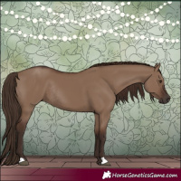 Horse Color:Liver Red Dun Rabicano 