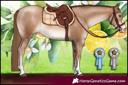 Horse Color:Liver Chestnut Pearl Rabicano 