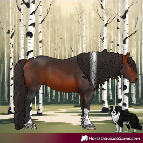 Horse Color:Bay Tobiano 