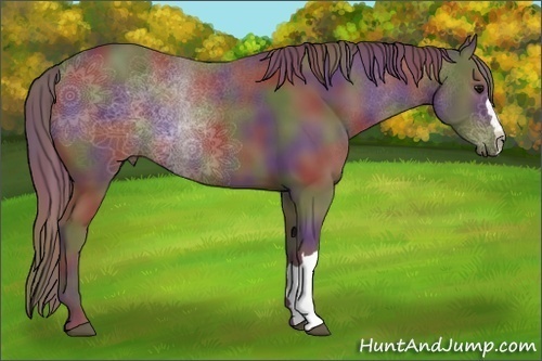 Horse Color:Nacre Chocolate Smoky Black