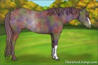 Horse Color:Nacre Chocolate Smoky Black 