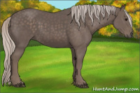 Horse Color:Silver Black 