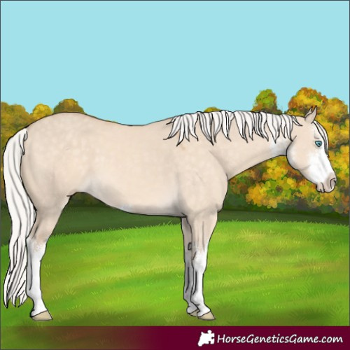 Horse Color:White Spotted Silver Perlino Dun 