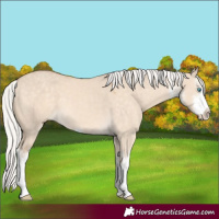 Horse Color:White Spotted Silver Perlino Dun 