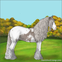 Horse Color:Silver Blue Roan Splash Appaloosa 