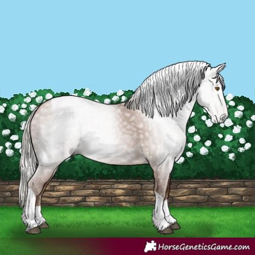 Horse Color:Gray Silver Black Pearl Tobiano