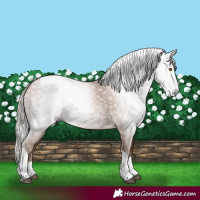 Horse Color:Gray Silver Black Pearl Tobiano 
