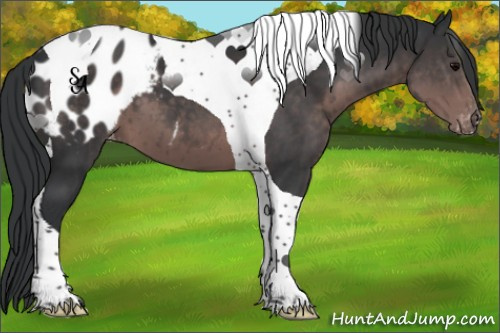 Horse Color:Platinum Brown Tobiano Blanket