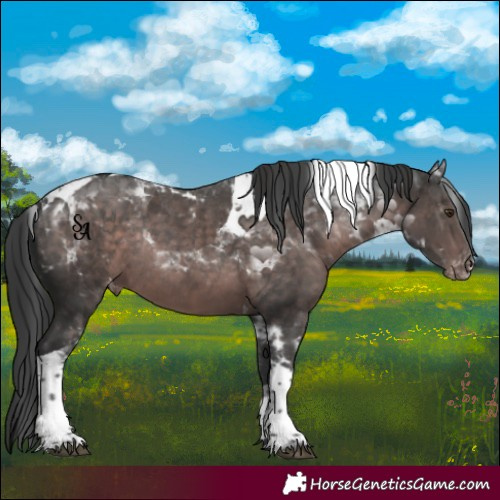 Horse Color:Platinum Liver Chestnut Tobiano Appaloosa Rabicano