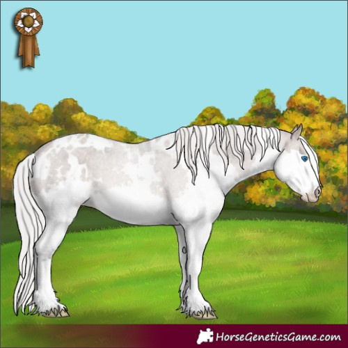 Horse Color:White Spotted Silver Brown Dun Mushroom Splash 