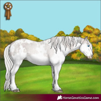 Horse Color:White Spotted Silver Brown Dun Mushroom Splash 