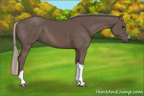 Horse Color:Silver Black 