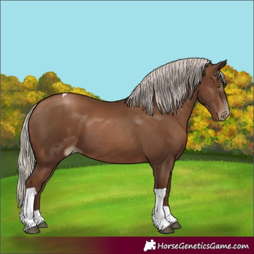 Horse Color:Gray Silver Black Pearl Tobiano 