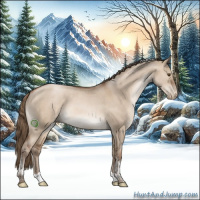 Horse Color:Grullo Pearl Tobiano 