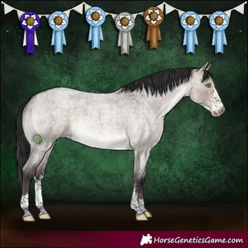 Horse Color:Brown Roan Dun Mushroom Sabino Brindle 