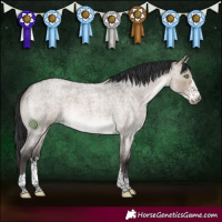 Horse Color:Brown Roan Dun Mushroom Sabino Brindle