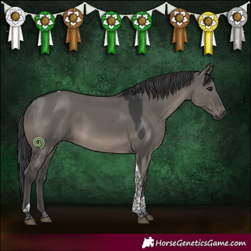 Horse Color:Grullo Tobiano 