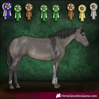 Horse Color:Grullo Tobiano 