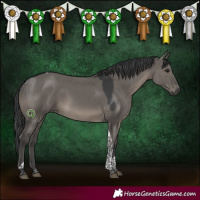 Horse Color:Grullo Tobiano