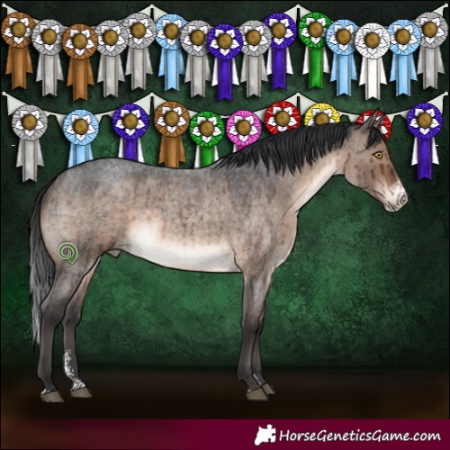 Horse Color:Brown Roan Dun Sabino Brindle