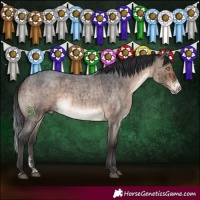 Horse Color:Brown Roan Dun Sabino Brindle 