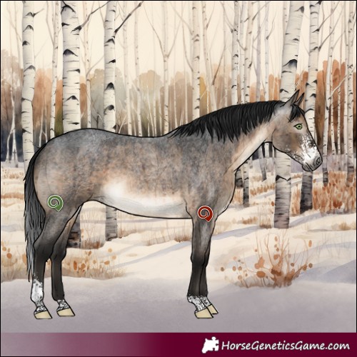 Horse Color:Gray Brown Roan Dun Mushroom Sabino Brindle 