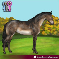 Horse Color:Gray Brown Dun Brindle