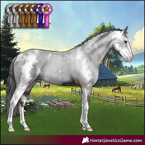 Horse Color:Liver Chestnut Sabino 