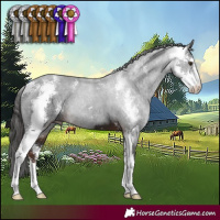 Horse Color:Liver Chestnut Sabino