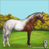 Horse Color:Silver Brown 