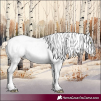 Horse Color:Gold Champagne Appaloosa 