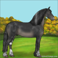 Horse Color:Black Sabino