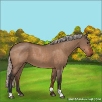 Horse Color:Brown Dun  and Silver Brown Dun 