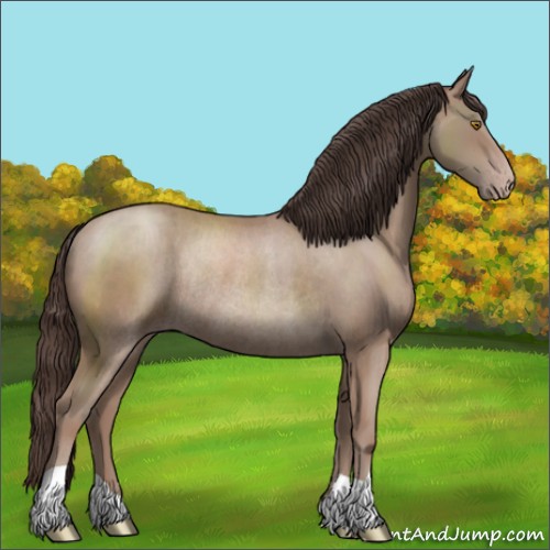Horse Color:Classic Champagne Rabicano 
