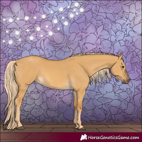 Horse Color:Palomino Dun 