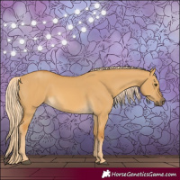 Horse Color:Palomino Dun