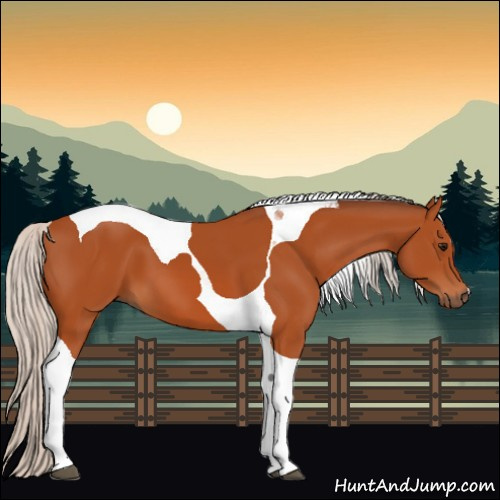 Horse Color:Silver Bay Tobiano